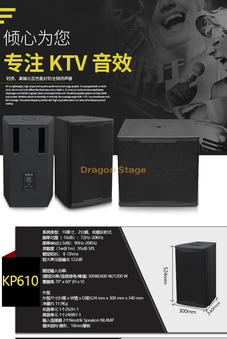 details Single 10-inch 12-inch 15-inch Professional Bar KTV Speaker Home Stage Audio (4) التفاصيل مكبر صوت احترافي KTV شريطي KTV مقاس 10 بوصة 12 بوصة 15 بوصة صوت مسرح منزلي (4)