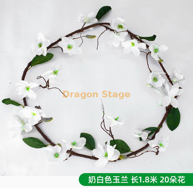 白色 玉兰花 （一条）