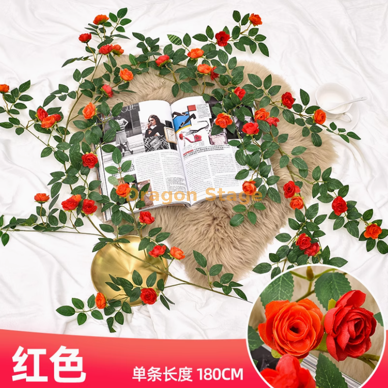 红色维西利亚花苞藤 1 条