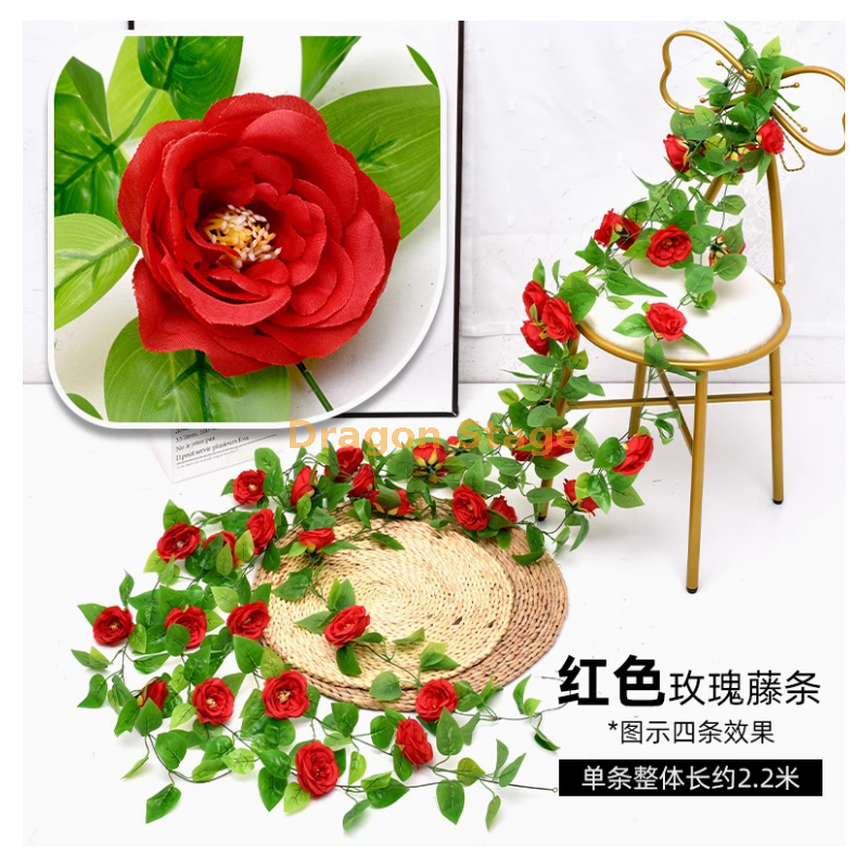 红色-过胶奥斯汀玫瑰 1 条