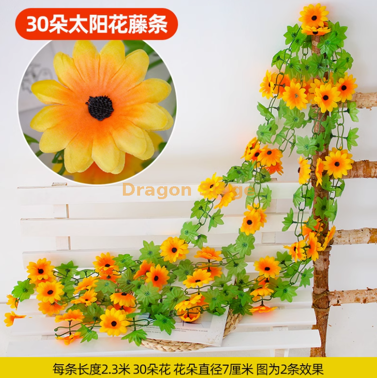 香槟色 30 朵中号太阳花 -2 条