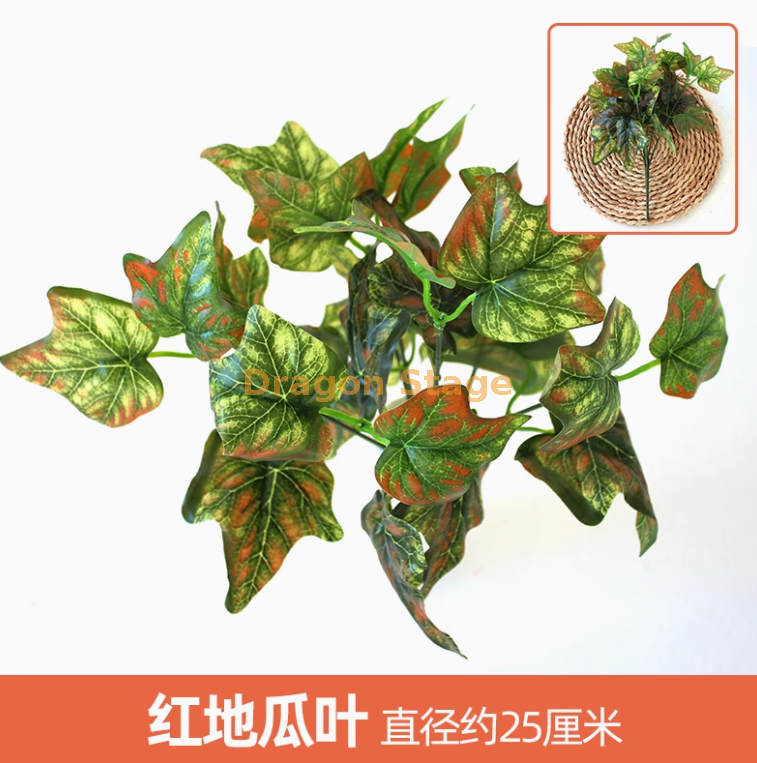 桔色 红地瓜叶 1 枝