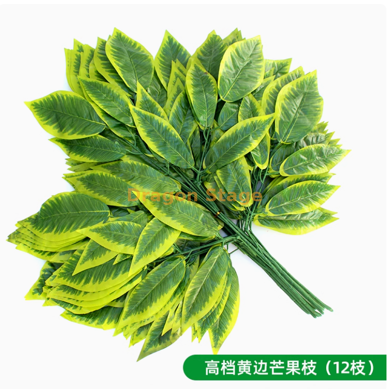 高档黄边芒果枝 （12 枝）