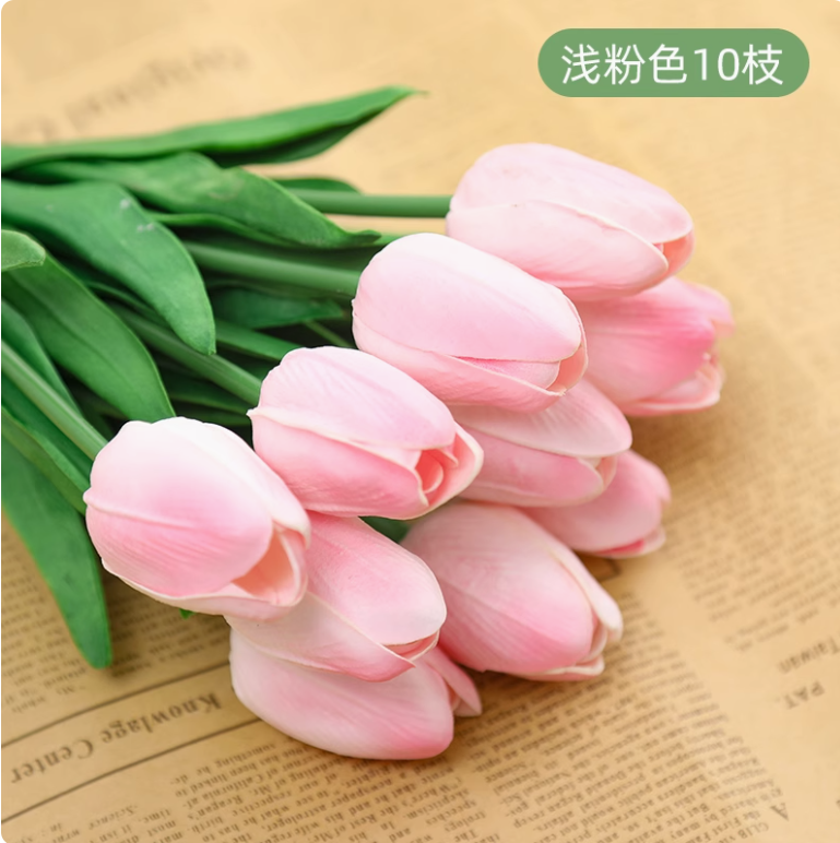 浅粉色郁金香 （50 枝）
