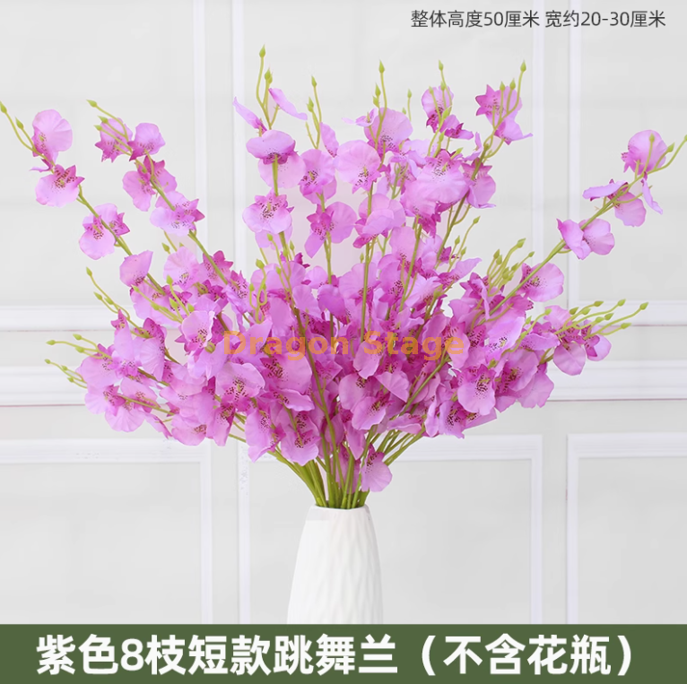 紫色 8 枝短款紫跳舞兰