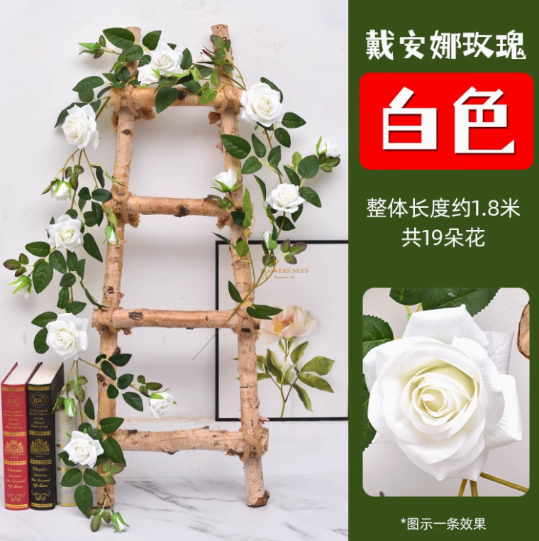 白色戴安娜大玫瑰花藤 1 条