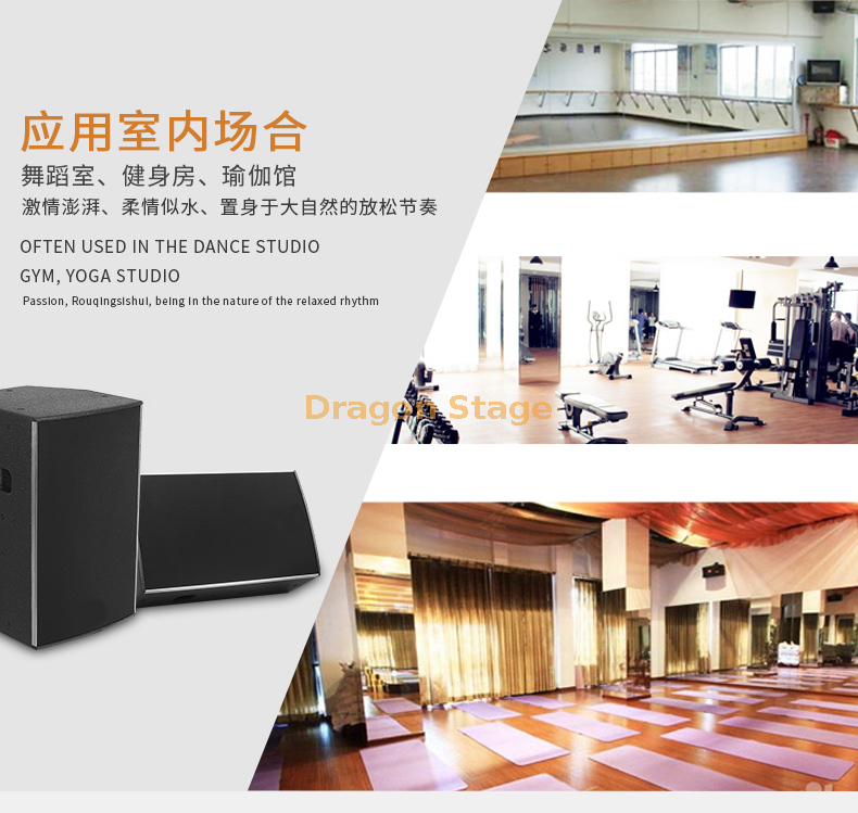 تفاصيل C52 واحد 10 بوصة 12 بوصة 15 بوصة احترافي KTV غرفة بار الصوت مجموعة الأسرة الأداء المرحلة المتحدث (7)