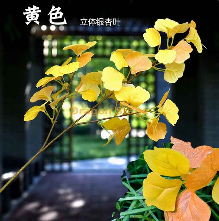 荧光黄 枝荧光黄 -1 枝