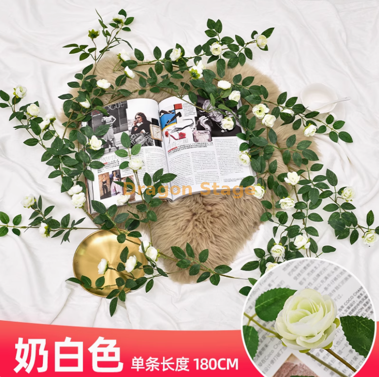 白色维西利亚花苞藤 1 条