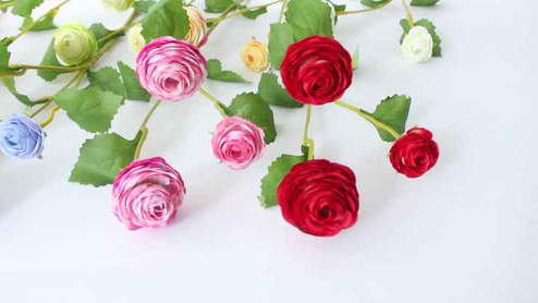 Information for ‌Events Plastic Decorative Flowers And Plants.jpg