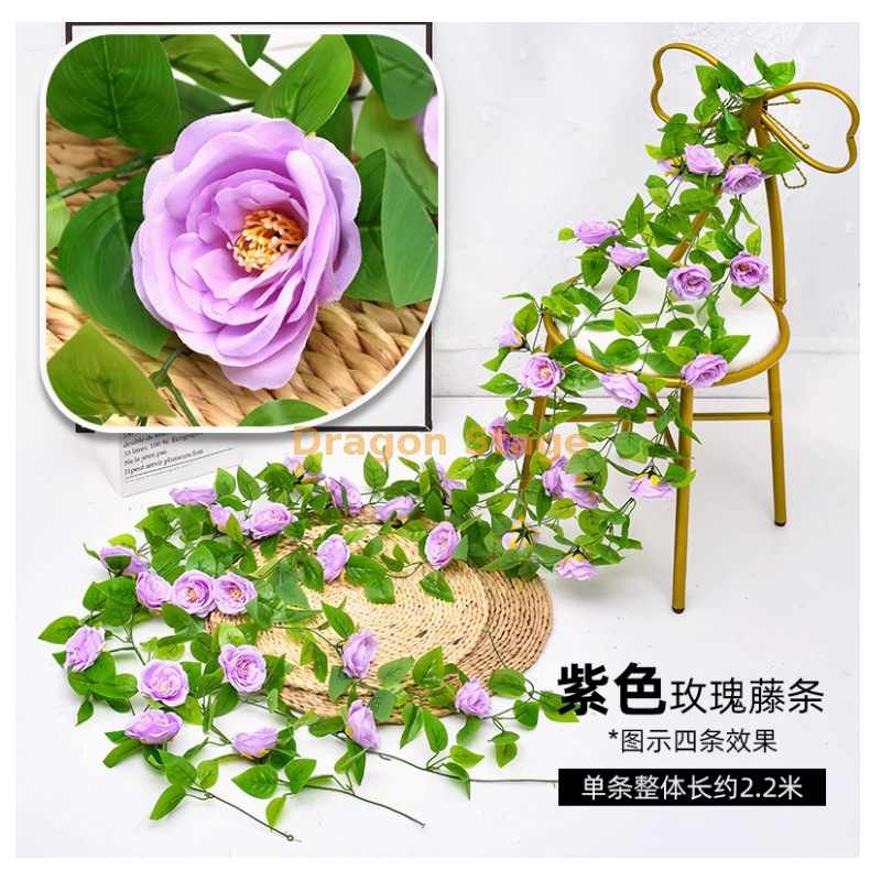 紫色-过胶奥斯汀玫瑰 1 条