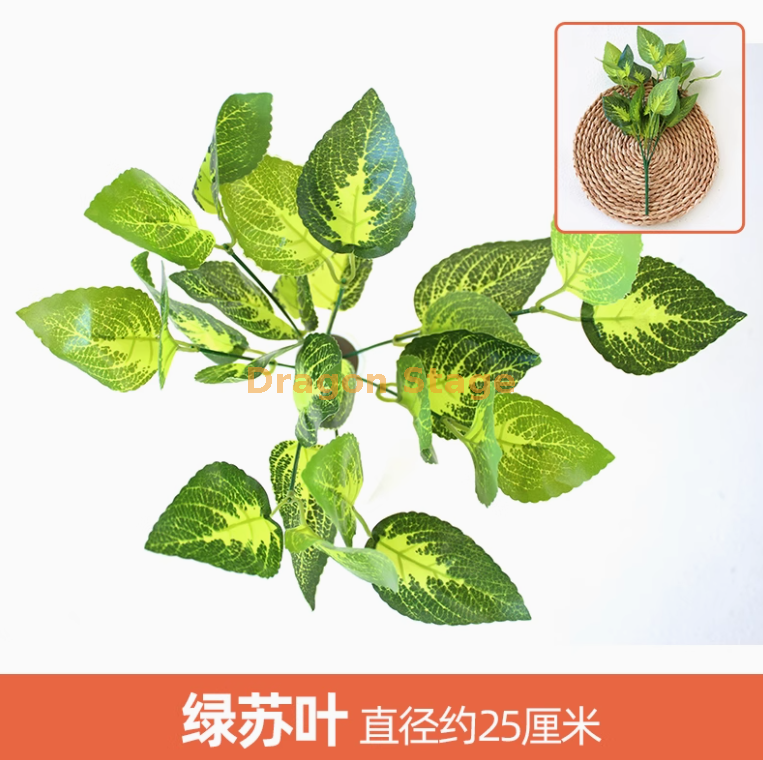 柠檬黄 绿苏叶 1 枝