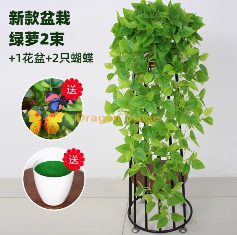 盆栽精灵绿萝 2 束+盆