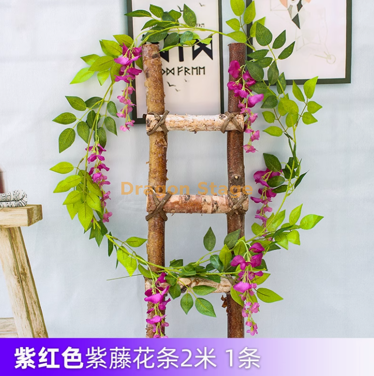 浅绿色 1 条紫红色 紫红紫藤花