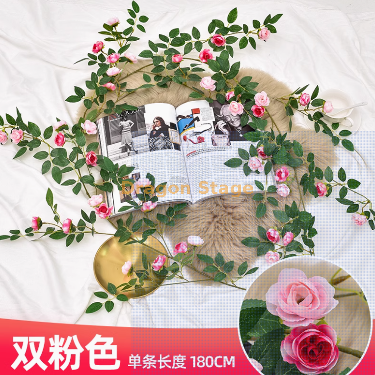 双粉色维西利亚花苞藤 1 条