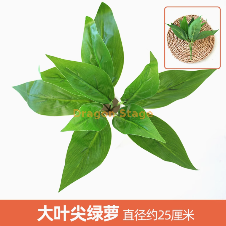 孔雀蓝 大叶尖角绿萝 1 枝