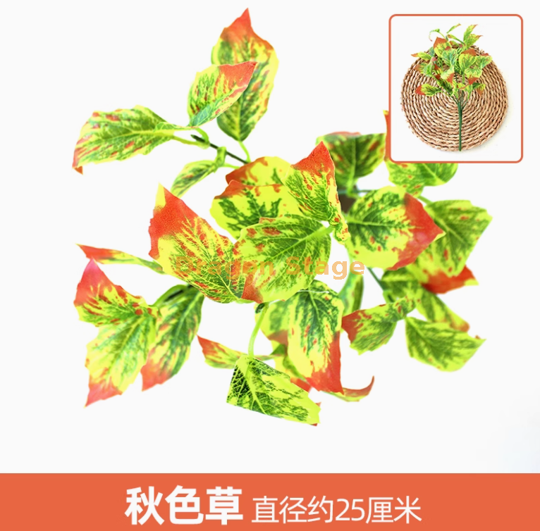 浅黄色 枝浅黄色 1 枝