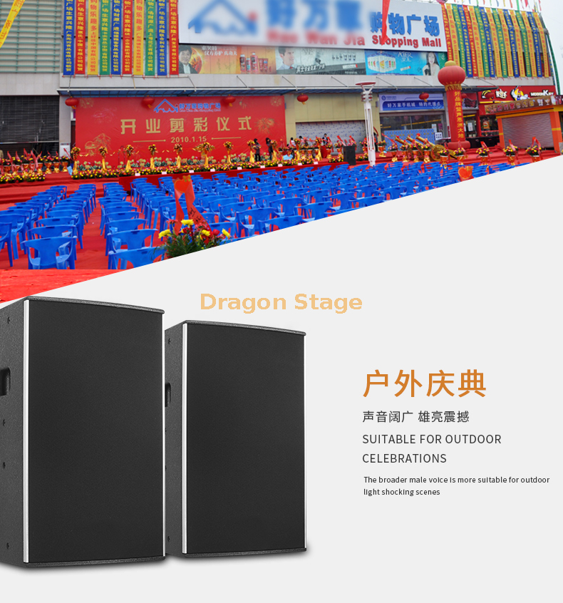 تفاصيل C52 واحد 10 بوصة 12 بوصة 15 بوصة احترافي KTV غرفة بار الصوت مجموعة الأسرة أداء المرحلة المتحدث (8)