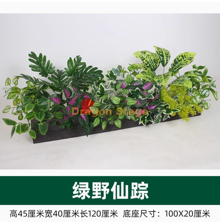 绿野仙踪 -10020 型