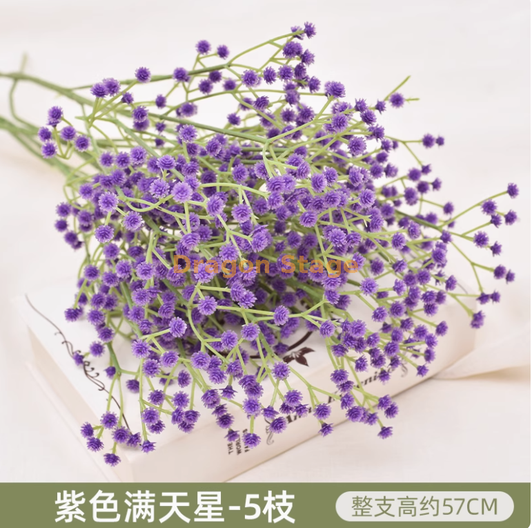 紫色 满天星 5 枝