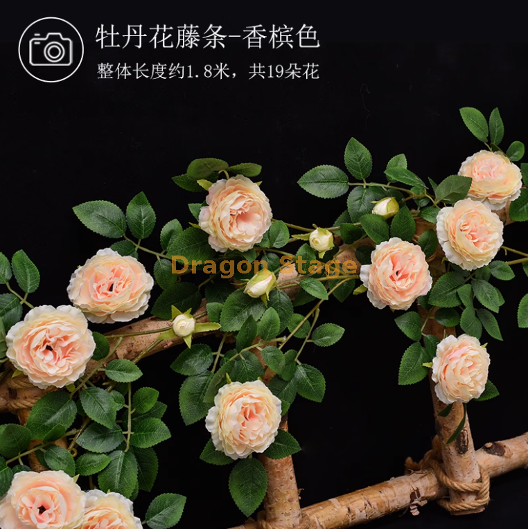 香槟色牡丹花藤 1 条