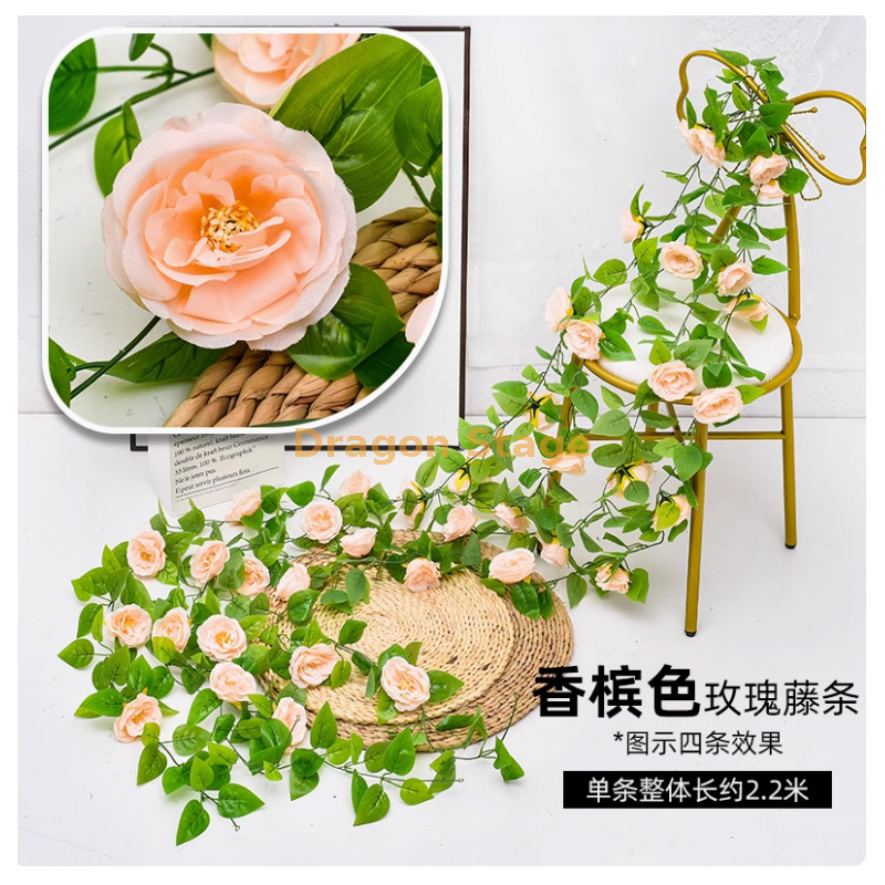 香槟-过胶奥斯汀玫瑰 1 条