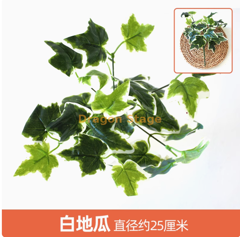 银色 白地瓜叶 1 枝