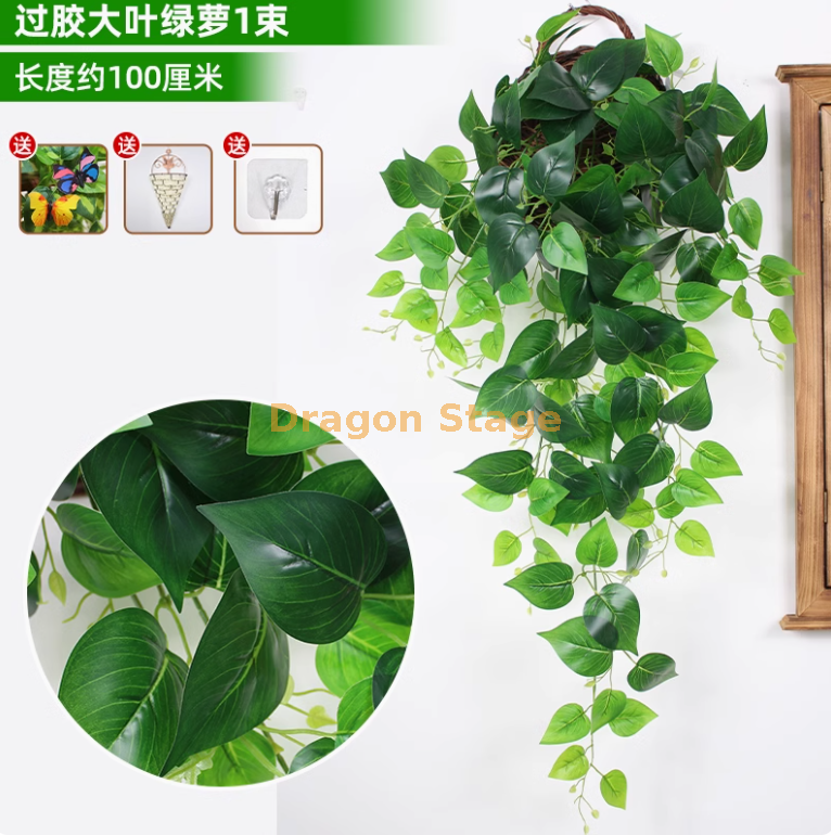 浅绿色 大叶铁丝绿萝 送三角篮 送三角篮）