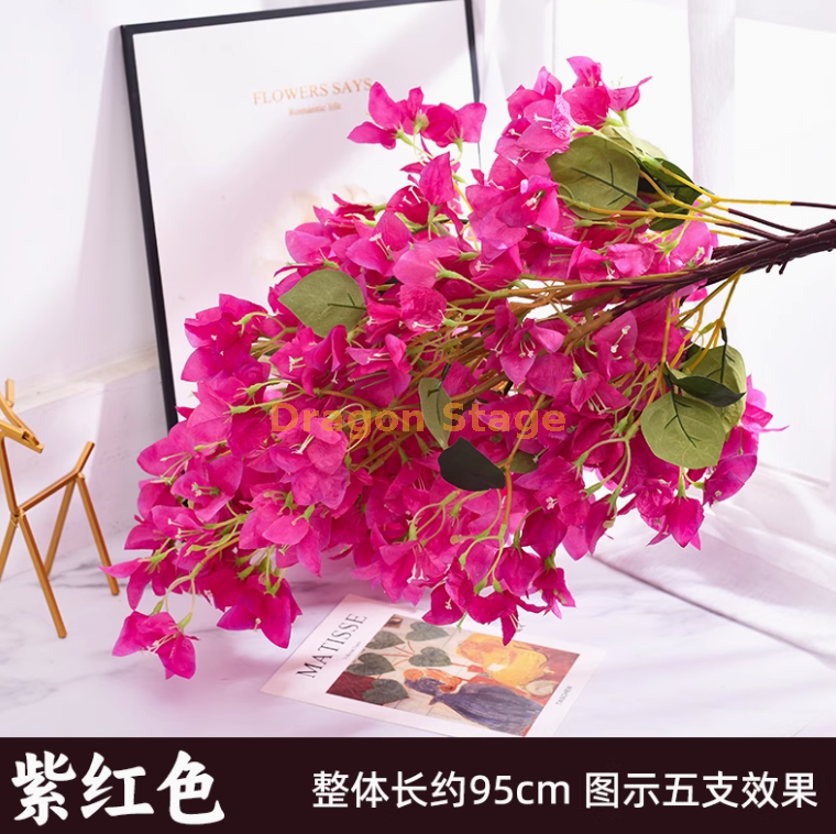 紫红色-加密三角梅 1 枝