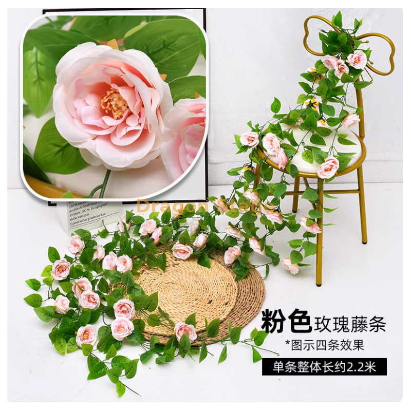 奥斯汀玫瑰 1 条粉色-过胶奥斯汀玫瑰 1 条