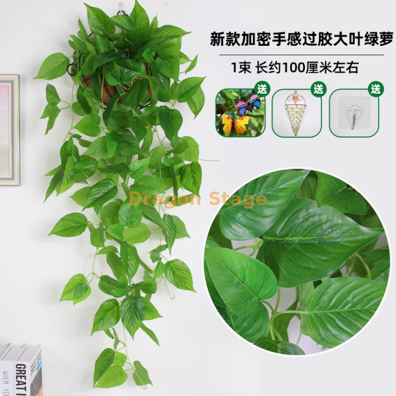 墨绿色 墨绿色 新款超密手感绿萝 （送三角篮） 送三角篮