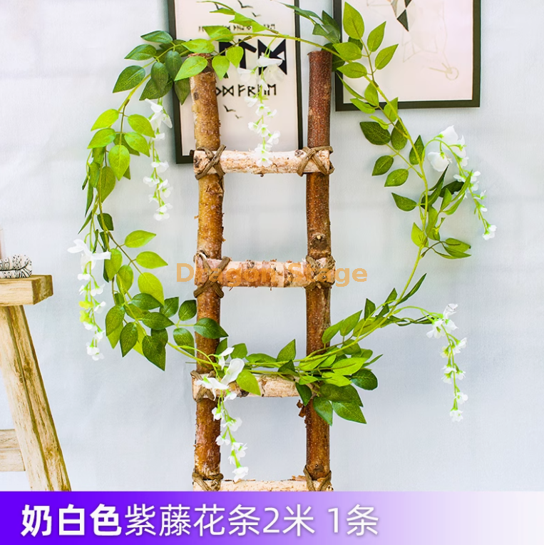 乳白色 白色紫藤花 1