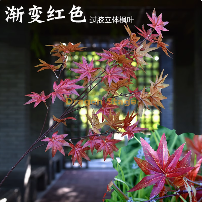 枫叶 1 枝藕色 枝藕色 1 枝