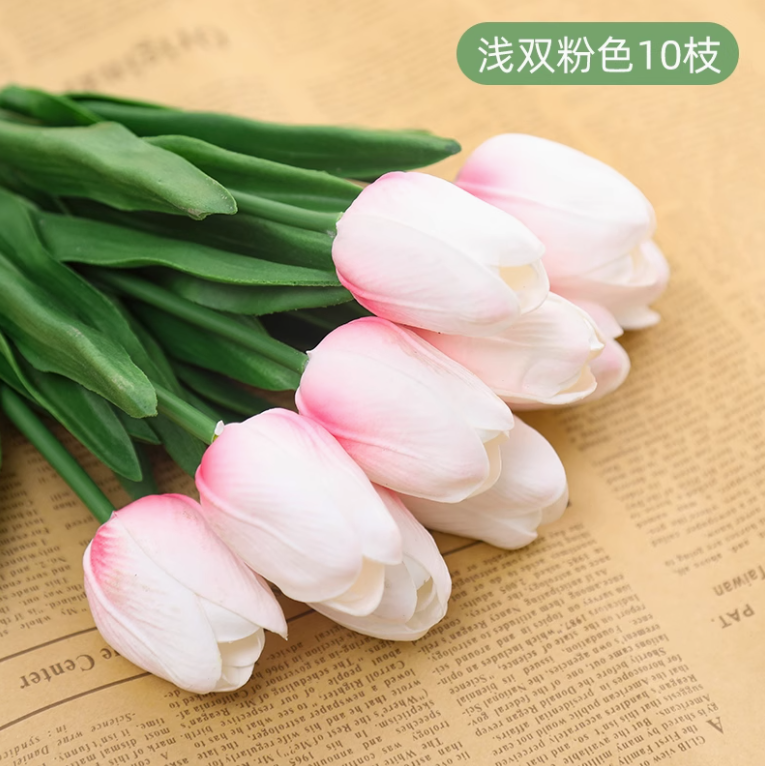 浅双粉郁金香 （50 枝）