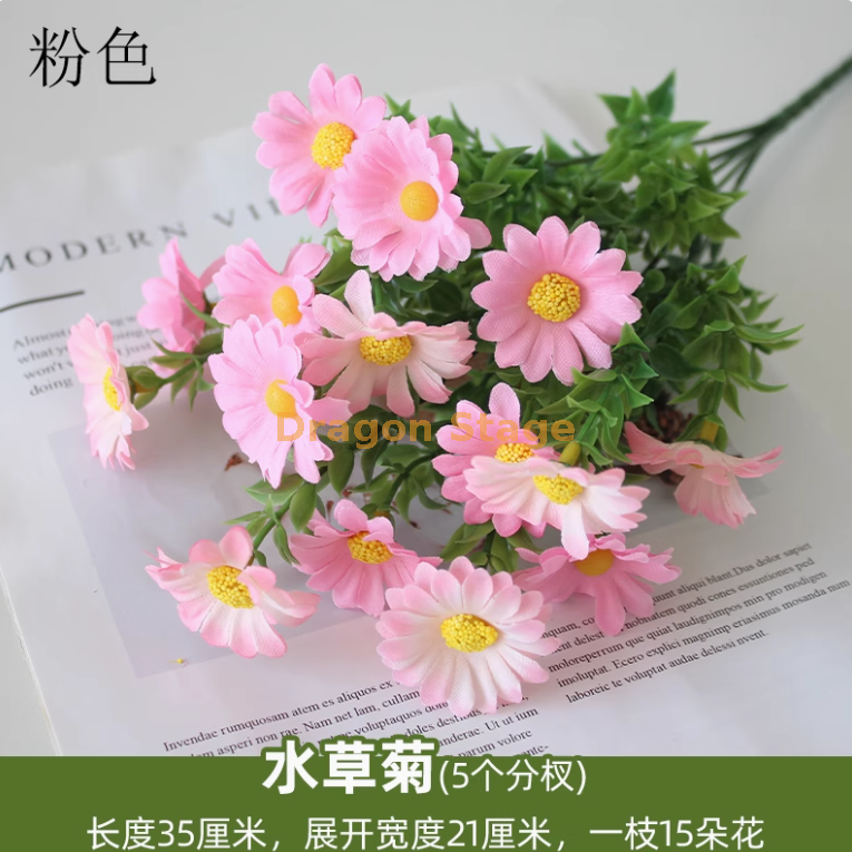 菊粉红色 水草菊