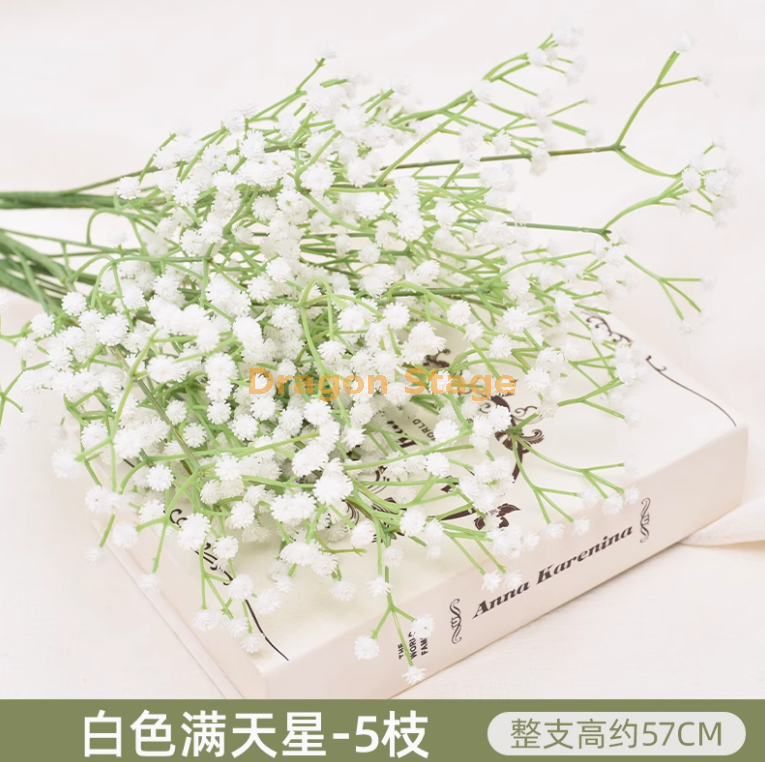 白色 满天星 5 枝