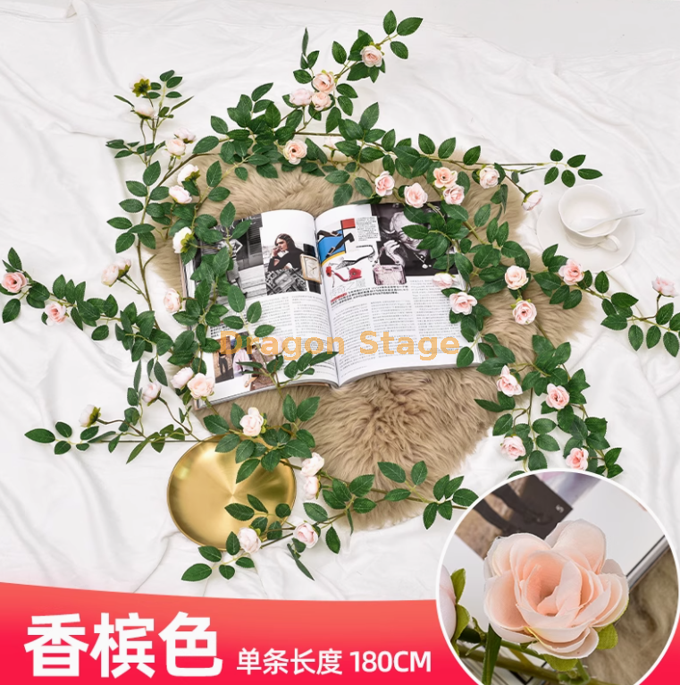 香槟色维西利亚花苞藤 1 条